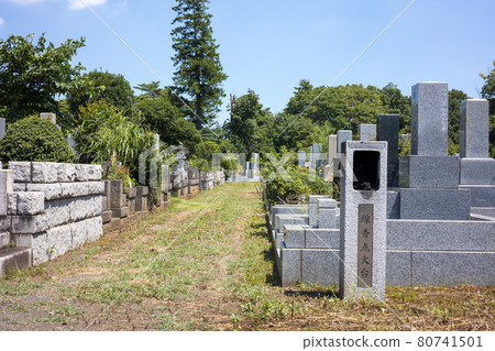 墓地 80741501