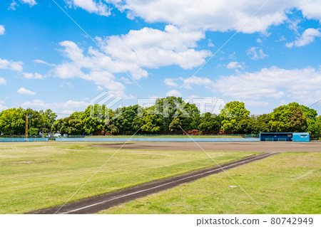 Sunny stadium 80742949