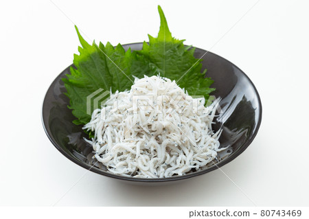 Shirasu on a plate Shirasu on a plate 80743469