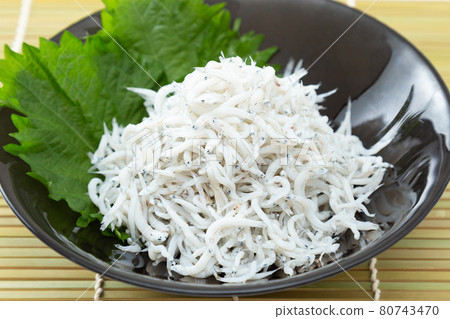 Shirasu on a plate Shirasu on a plate 80743470