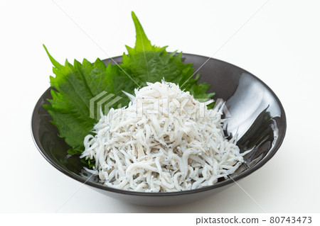 Shirasu on a plate 80743473