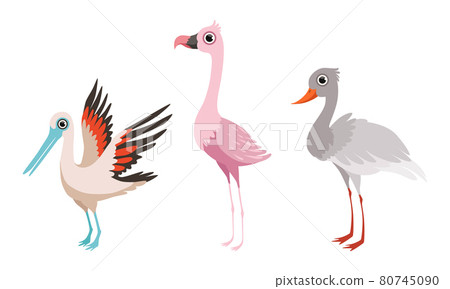 Bird as Winged Feathered Aves with Beaked Jaw Vector Set 80745090