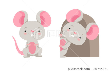 Cute Grey Mouse Character Sitting and Peeped Out from Hole Vector Set Cute Grey Mouse Character Sitting and Peeped Out from Hole Vector Set 80745150