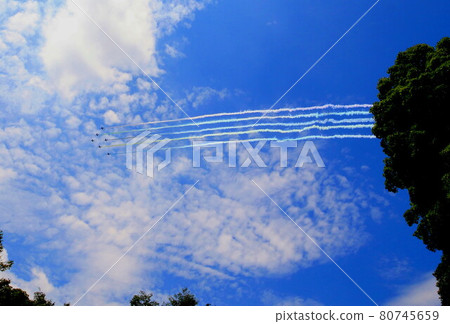 Blue Impulse  80745659