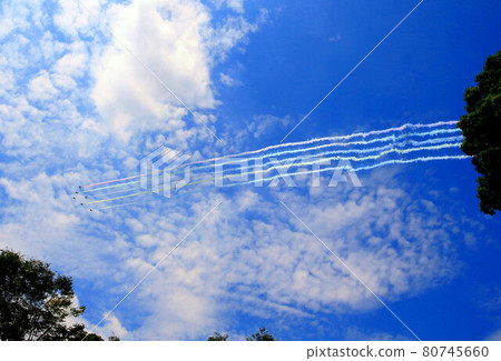 Blue Impulse  80745660