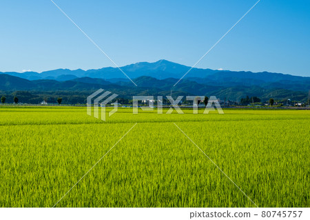 Hakusan distant view and rice fields (from Onaganomachi, Nomi City, Ishikawa Prefecture) Taken in August Hakusan distant view and rice fields (from Onaganomachi, Nomi City, Ishikawa Prefecture) Taken in August 80745757