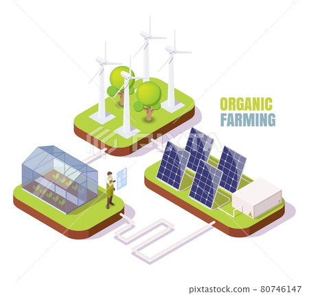 Organic farm. Isometric greenhouse, wind turbines, solar panels. Glasshouse using clean alternative energy, vector. Organic farm. Isometric greenhouse, wind turbines, solar panels. Glasshouse using clean alternative energy, vector. 80746147