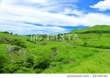 [Fukuoka Prefecture] Fresh green Hiraodai (Japan's three major karsts) 80746346