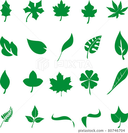 Leaves, collection, plant, organic, gardener, logo, icon  80746704