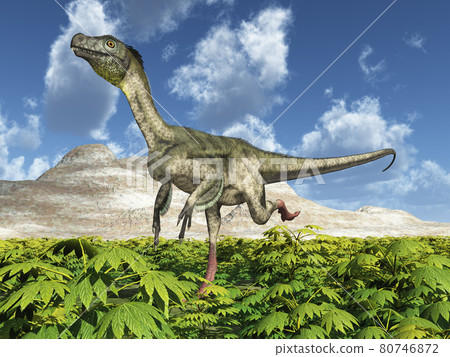 Dinosaur Ornitholestes in a landscape 80746872