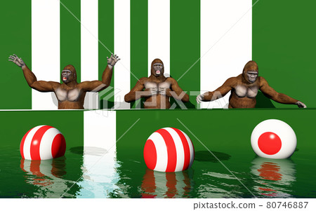 Three gorillas on a podium Three gorillas on a podium 80746887