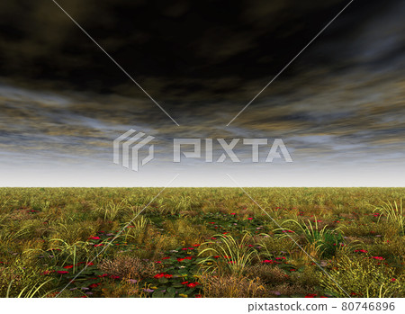Flat landscape Flat landscape 80746896