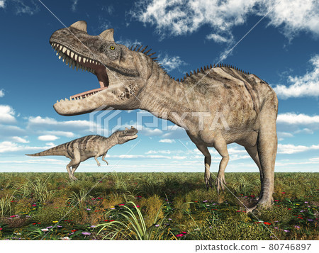 Dinosaur Ceratosaurus in a landscape Dinosaur Ceratosaurus in a landscape 80746897