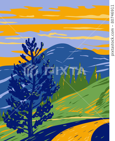 Mt Washburn Trail with the Peak of Mount Washburn in the Washburn Range Located In Yellowstone National Park Teton County Wyoming USA WPA Poster Art Mt Washburn Trail with the Peak of Mount Washburn in the Washburn Range Located In Yellowstone National Park Teton County Wyoming USA WPA Poster Art 80746911
