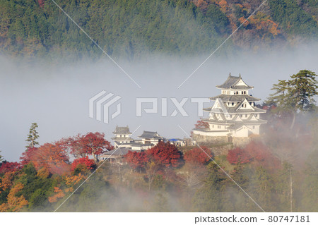 [Gujo Hachiman Castle] A castle in the sky floating in autumn colors 80747181
