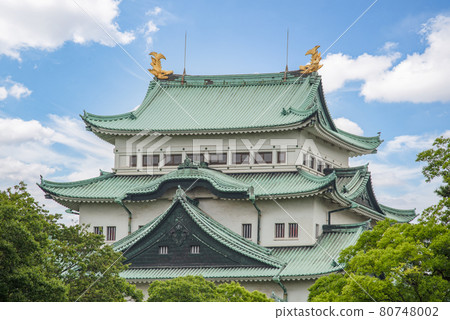 以黃金沙丁魚聞名的名古屋城 以黃金沙丁魚聞名的名古屋城 80748002
