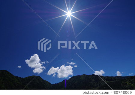 夏日的陽光 夏日的陽光 80748069