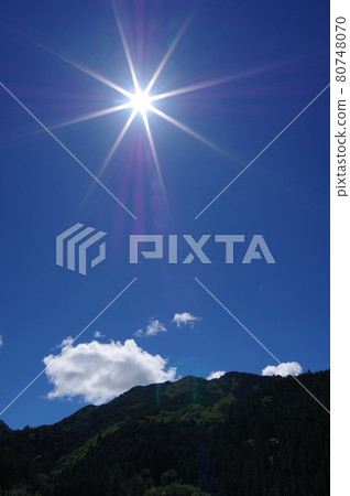 夏日的陽光 80748070