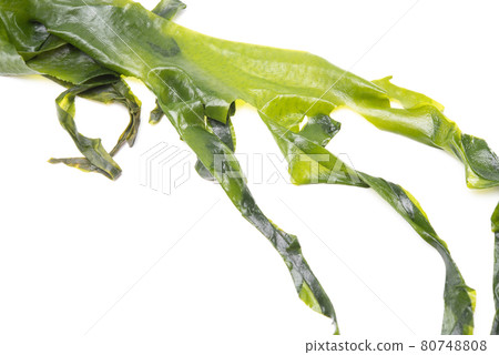 Fresh seaweed wakame isolated on white background with copy space. Healthy japanese food Fresh seaweed wakame isolated on white background with copy space. Healthy japanese food 80748808