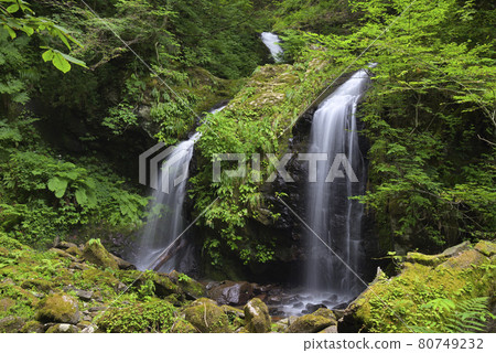 Twin Waterfall (Meotodaki) Kami Town, Mikata District, Hyogo Prefecture Twin Waterfall (Meotodaki) Kami Town, Mikata District, Hyogo Prefecture 80749232