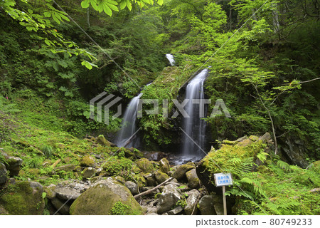 Twin Waterfall (Meotodaki) Kami Town, Mikata District, Hyogo Prefecture 80749233