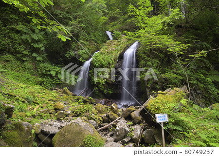 Twin Waterfall (Meotodaki) Kami Town, Mikata District, Hyogo Prefecture 80749237