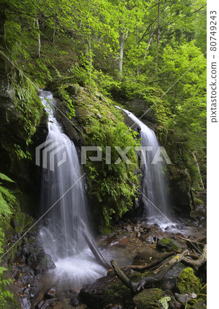 Twin Waterfall (Meotodaki) Kami Town, Mikata District, Hyogo Prefecture 80749243