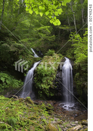 Twin Waterfall (Meotodaki) Kami Town, Mikata District, Hyogo Prefecture 80749248