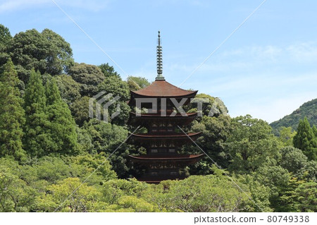 Summer scenery of Yamaguchi Rurikoji Temple Summer scenery of Yamaguchi Rurikoji Temple 80749338