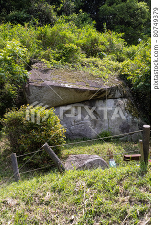 Stone Buddha of the Hail 80749379