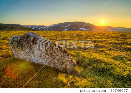 Beautiful summer Arctic landscape Beautiful summer Arctic landscape 80749677