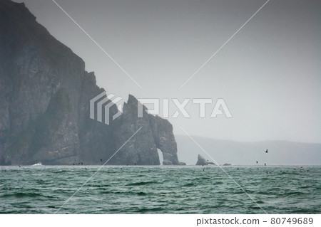 Cape of the Century. Bering Sea, Chukotka, Russia. Cape of the Century. Bering Sea, Chukotka, Russia. 80749689