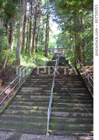 黑手神社和黑手神社森林 80750055