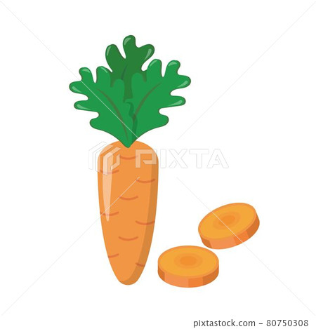 胡蘿蔔切片跟剖面的向量漫畫卡通插畫隔絕在白色背景 胡蘿蔔切片跟剖面的向量漫畫卡通插畫隔絕在白色背景 80750308