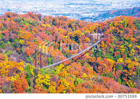 縣立林秋葉與星田庭園吊橋 80751099
