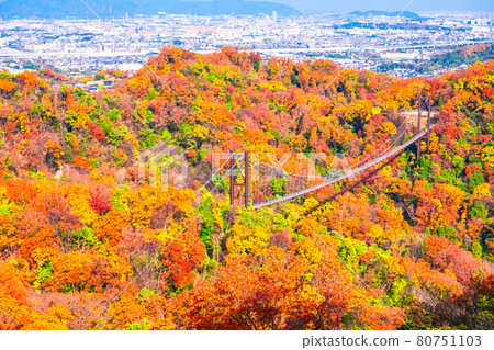縣立林秋葉與星田庭園吊橋 縣立林秋葉與星田庭園吊橋 80751103