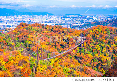 Prefectural Forest Autumn Leaves and Suspension Bridge in Hoshida Garden Prefectural Forest Autumn Leaves and Suspension Bridge in Hoshida Garden 80751104