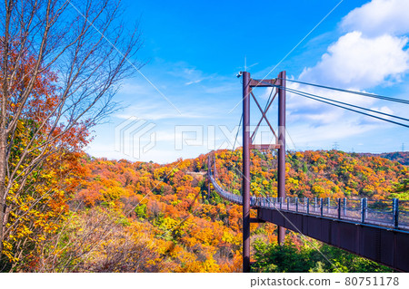 Prefectural Forest Autumn Leaves and Suspension Bridge in Hoshida Garden 80751178