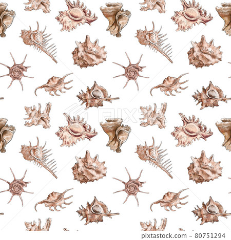 Watercolor digital illustration seamless pattern of seashells from brown marine life on a white Watercolor digital illustration seamless pattern of seashells from brown marine life on a white 80751294