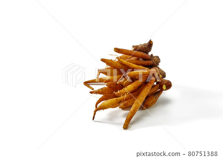 Finger root rhizome isolated on white 80751388