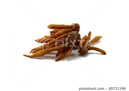 Finger root rhizome isolated on white 80751396