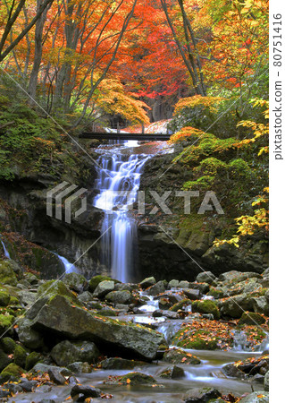Autumn in the autumn valley (Fukushima Prefecture, Nihonmatsu City) Autumn in the autumn valley (Fukushima Prefecture, Nihonmatsu City) 80751416