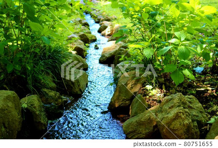 清新的嫩葉,溪流的風景 清新的嫩葉,溪流的風景 80751655