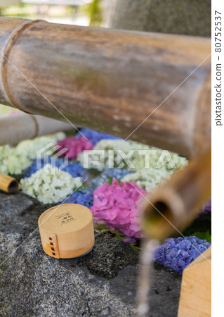 上賀茂神社的花水 80752537