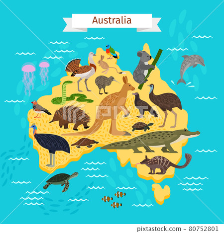 Australian animals and birds on the map - Stock Illustration [80752801] -  PIXTA