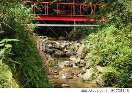 尾瀨町三瀧川上的海棠 尾瀨町三瀧川上的海棠 80753148
