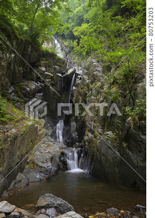 Nunotaki (Fukusada, Yabu City, Hyogo Prefecture) 80753203