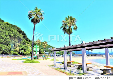 和歌山縣波早海灘 和歌山縣波早海灘 80753316