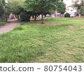 草坪公園 80754043
