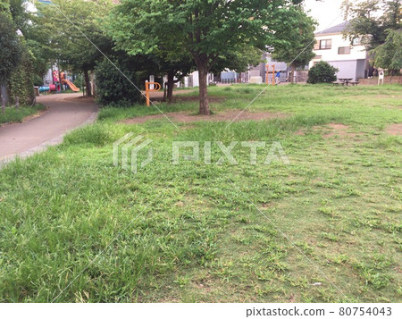 草坪公園 草坪公園 80754043